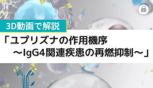 3D動画で解説「ユプリズナの作用機序～IgG4関連疾患の再燃抑制～」