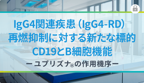 IgG4関連疾患（IgG4-RD）再燃抑制に対する新たな標的CD19とB細胞機能ーユプリズナⓇの作用機序ー