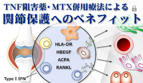 TNF阻害薬・MTX併用療法による関節保護へのベネフィット