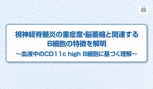 視神経脊髄炎の重症度・脳萎縮と関連するB細胞の特徴を解明～血液中のCD11c high B細胞に基づく理解～