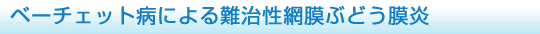 ベーチェット病による難治性網膜ぶどう膜炎