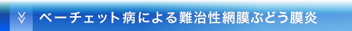 ベーチェット病による難治性網膜ぶどう膜炎